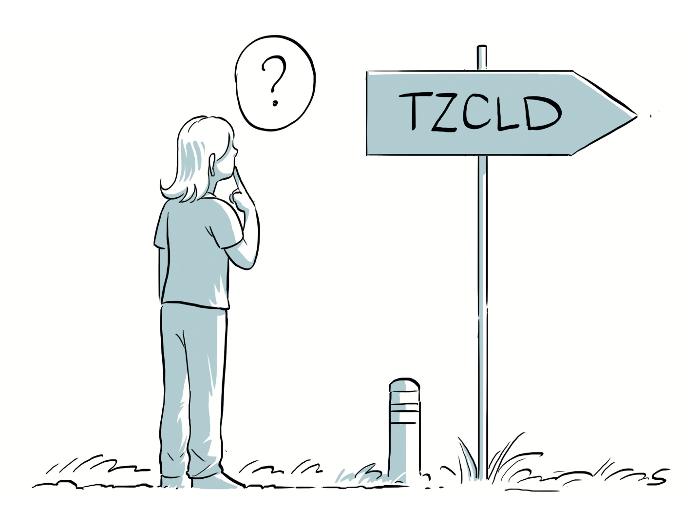 Les TZCLD : Kézaco ?