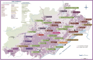 Viticulture : une révolution silencieuse